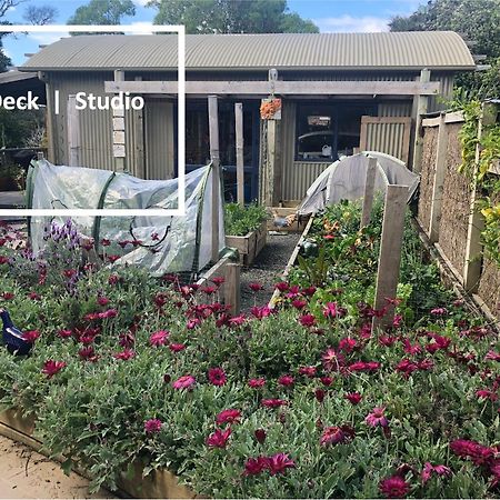 Tawharanui Kaka Ridge Retreat Bush Hideaway 아파트 외부 사진